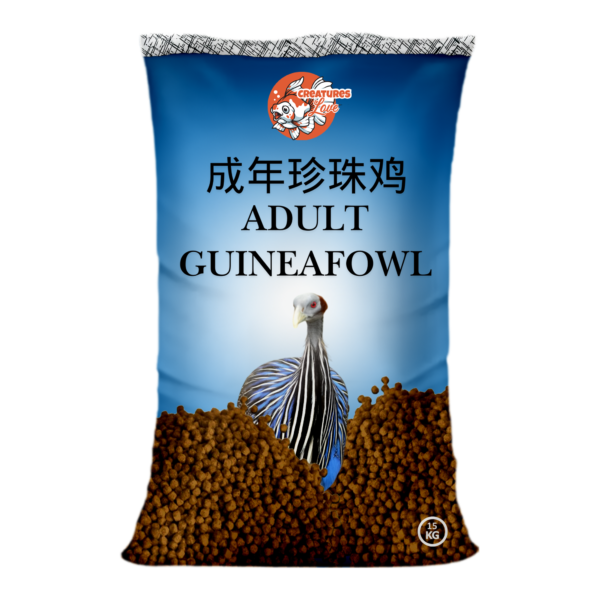 Adult Guinea Fowl Feed